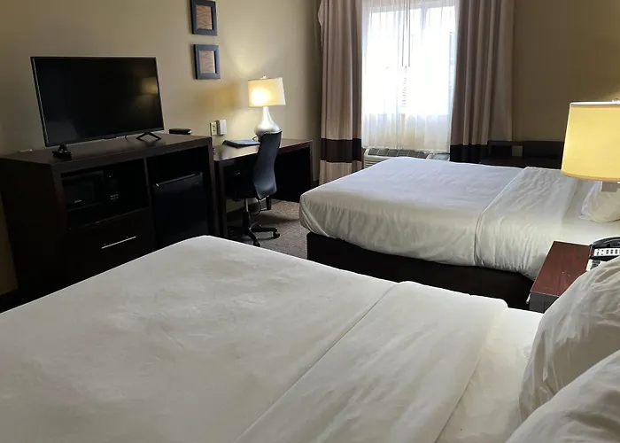 Comfort Inn&Suites Manheim